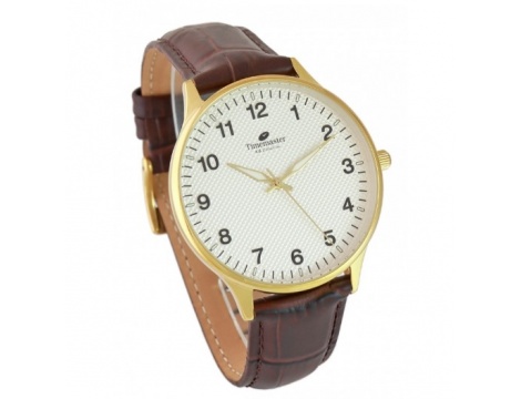Zegarek męski Timemaster ZQTIM-251/03