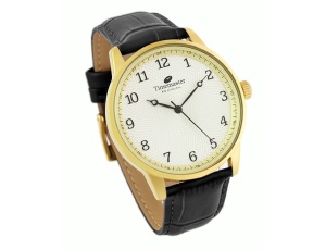 Zegarek meski Timemaster ZQTIM-264/03