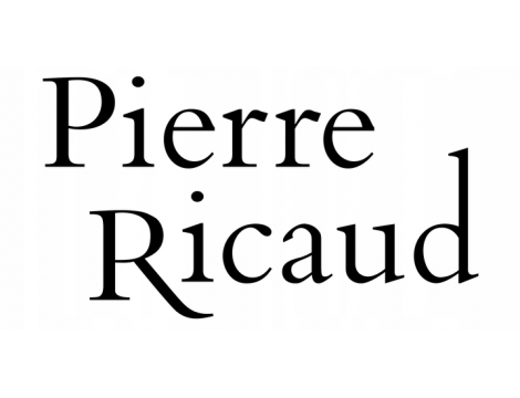Zegarek Pierre Ricaud Classic Sapphire - męski - 2