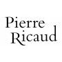 Zegarek Pierre Ricaud Classic Sapphire - męski - 3